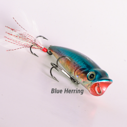 Azuma Popper Z – ProfoundOutdoors