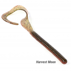 Kowikkee Worm 12